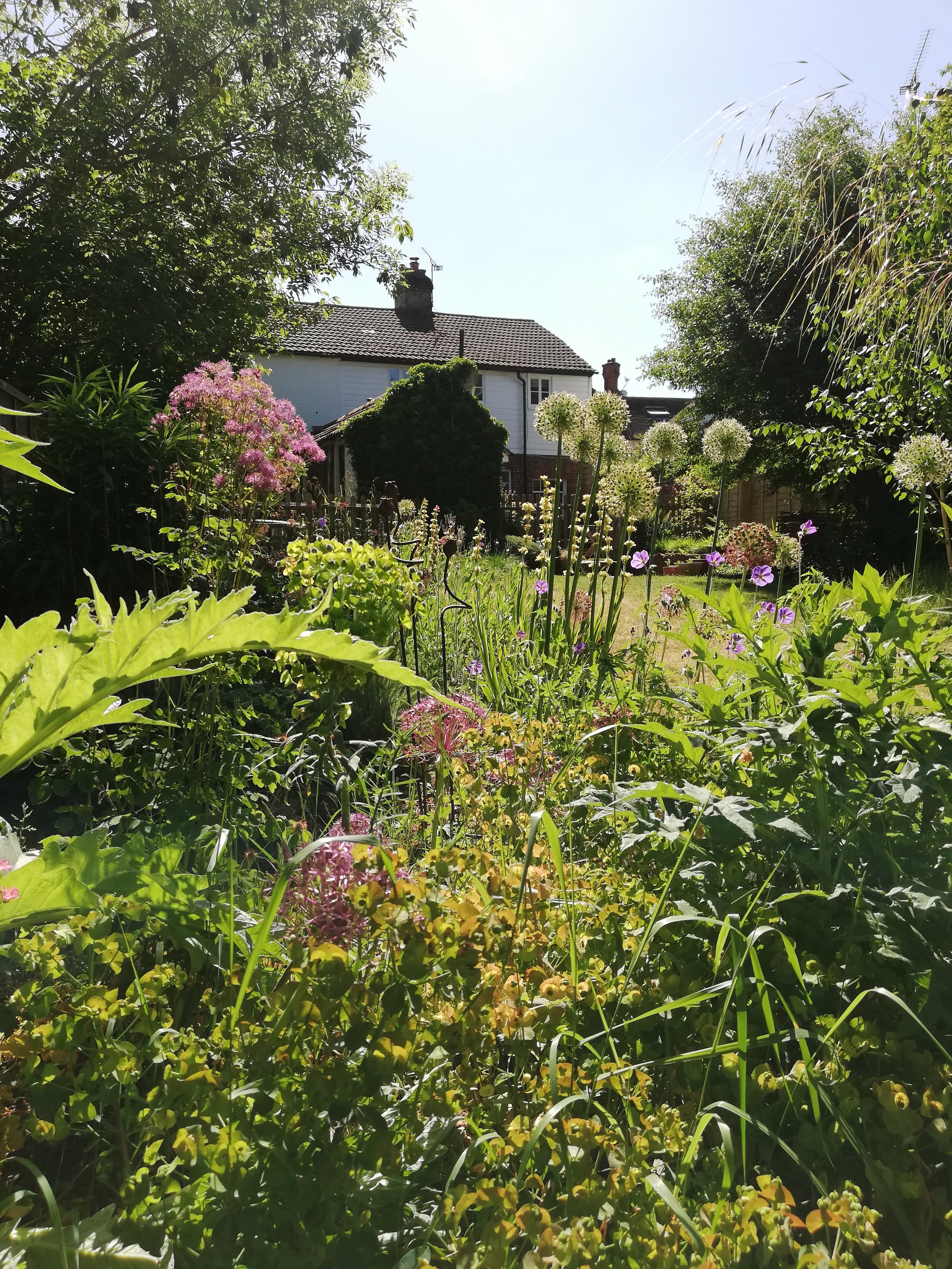 Sevenoaks - second summer