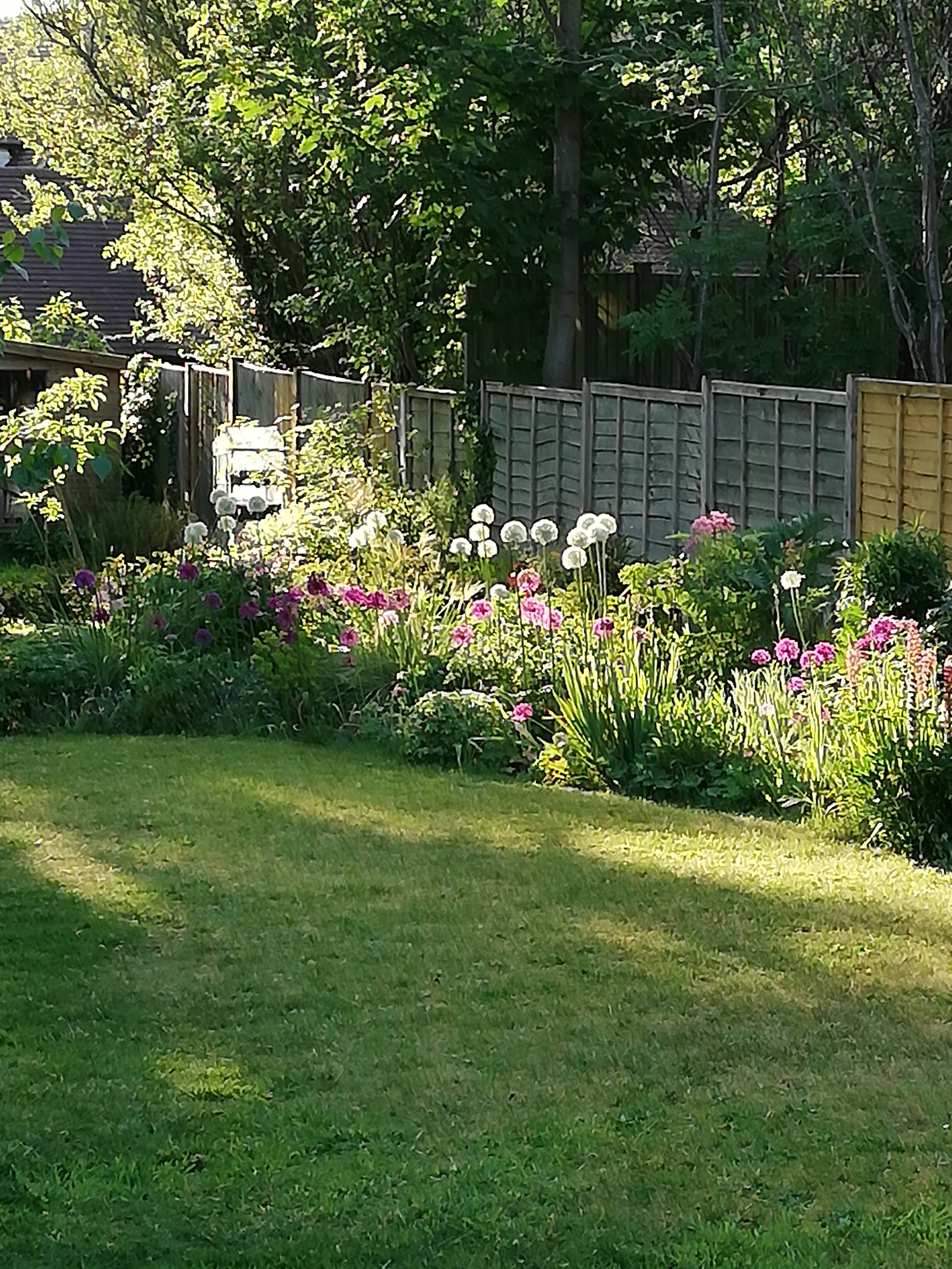 Sevenoaks - second summer