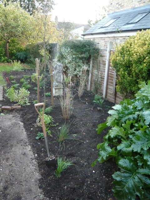 Taunton Road - planting day