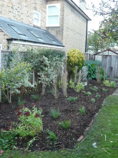 Taunton Road - planting day