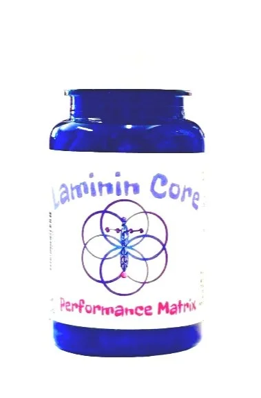Performance Matrix