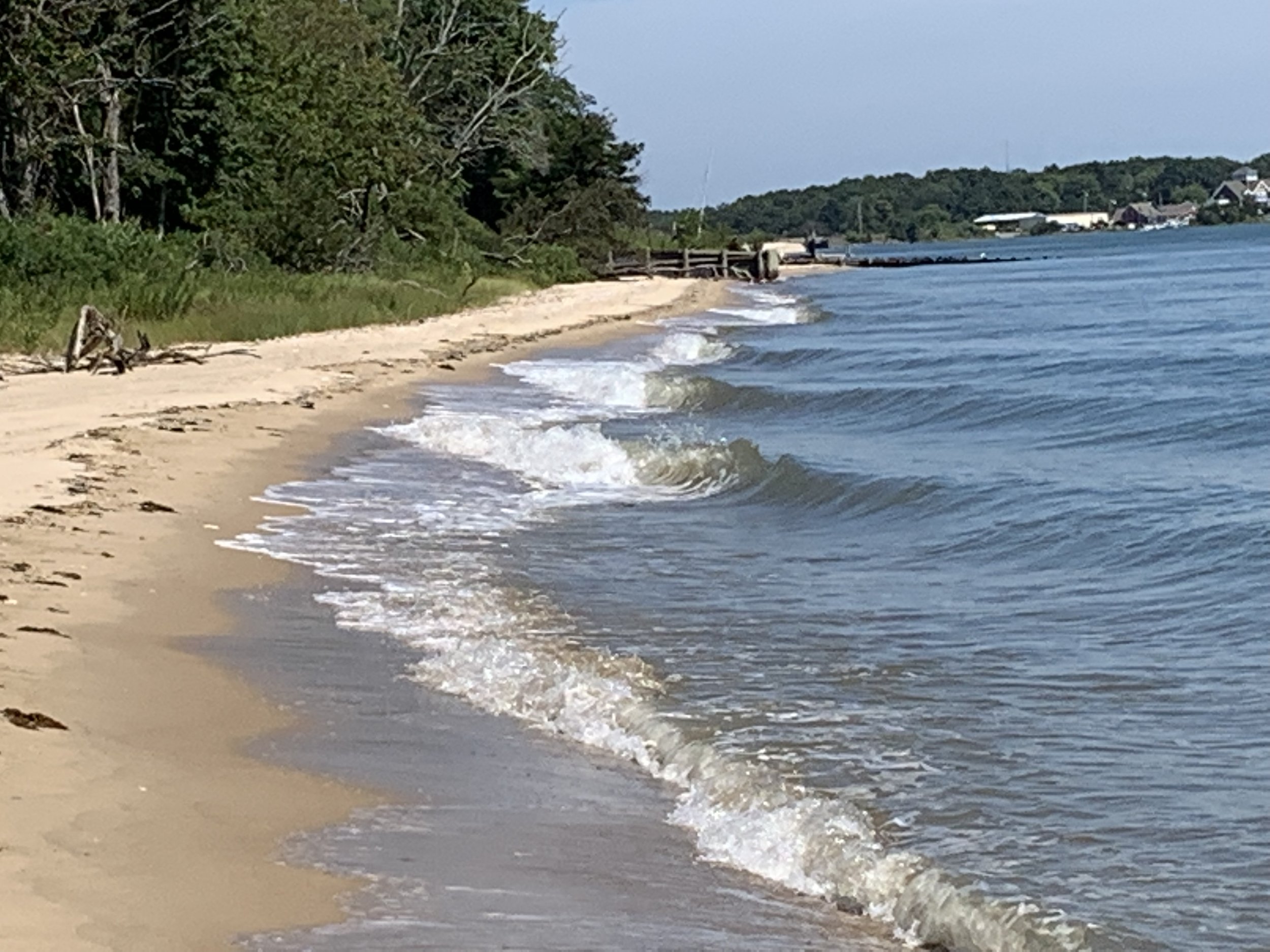 A Summer of Wonder (And, Thankfully, Healing)