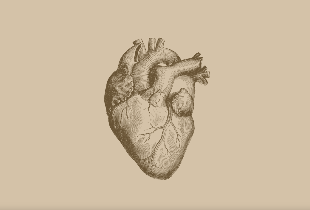 Why, and How, I Started Taking a Low-Dose Statin (For Now)