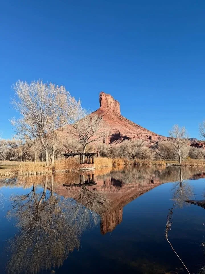 IMG_3265.webp