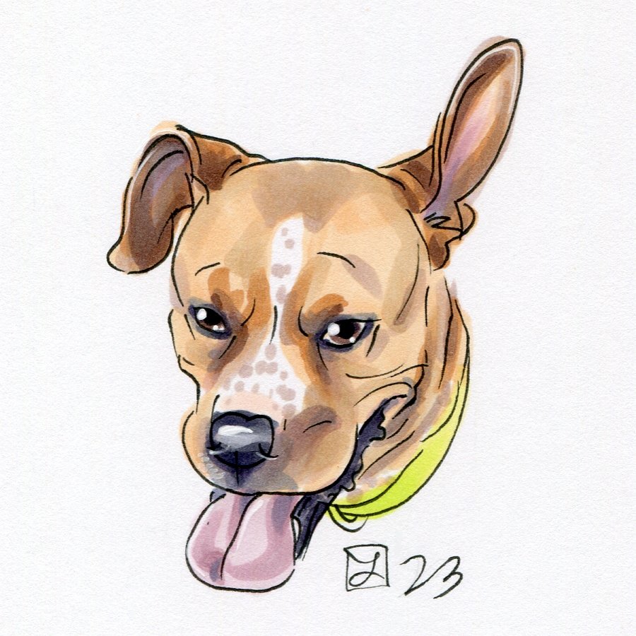 sticker76@yahoo.com.jpg