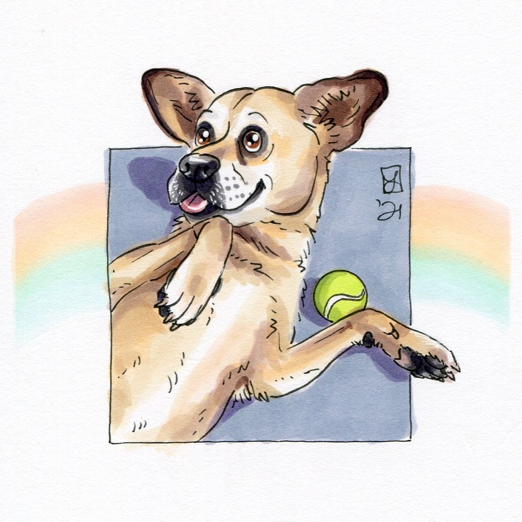 mbade@barkbox.com.jpg