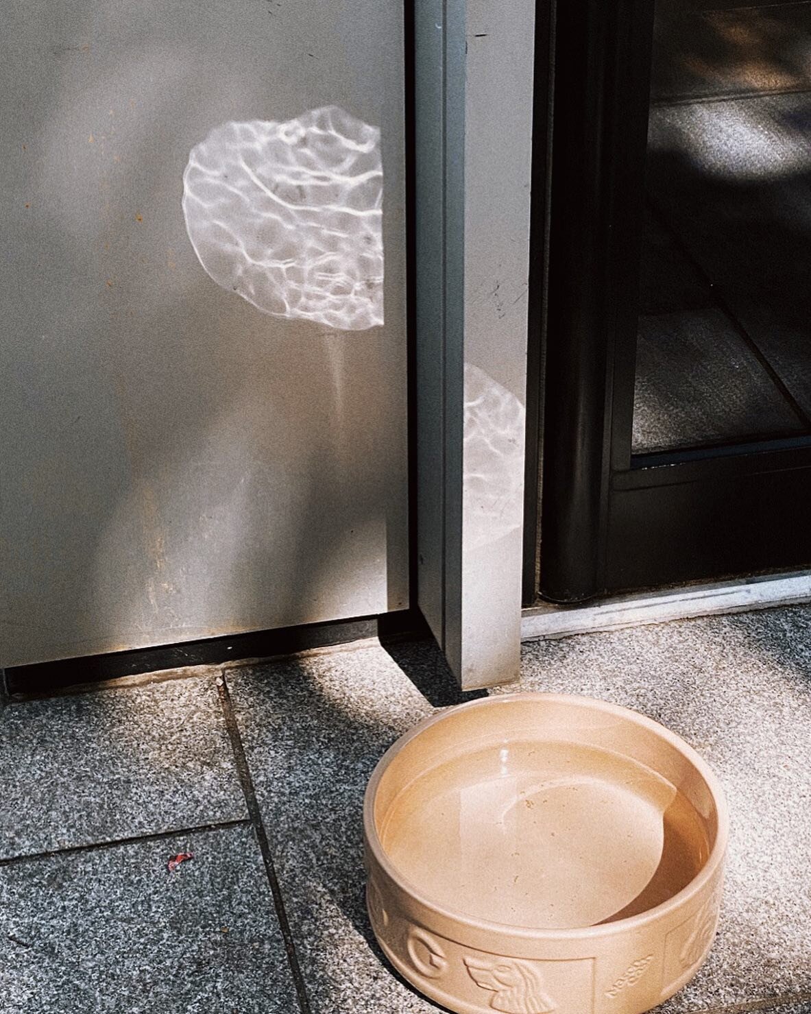 This reflection from the pet bowl reminds me of Tadao Ando, a Japanese architect, who is in famous with his minimalist building style. Instead of using patters and colours, he uses concrete blocks and water to emerge light, shadow and the surrounding