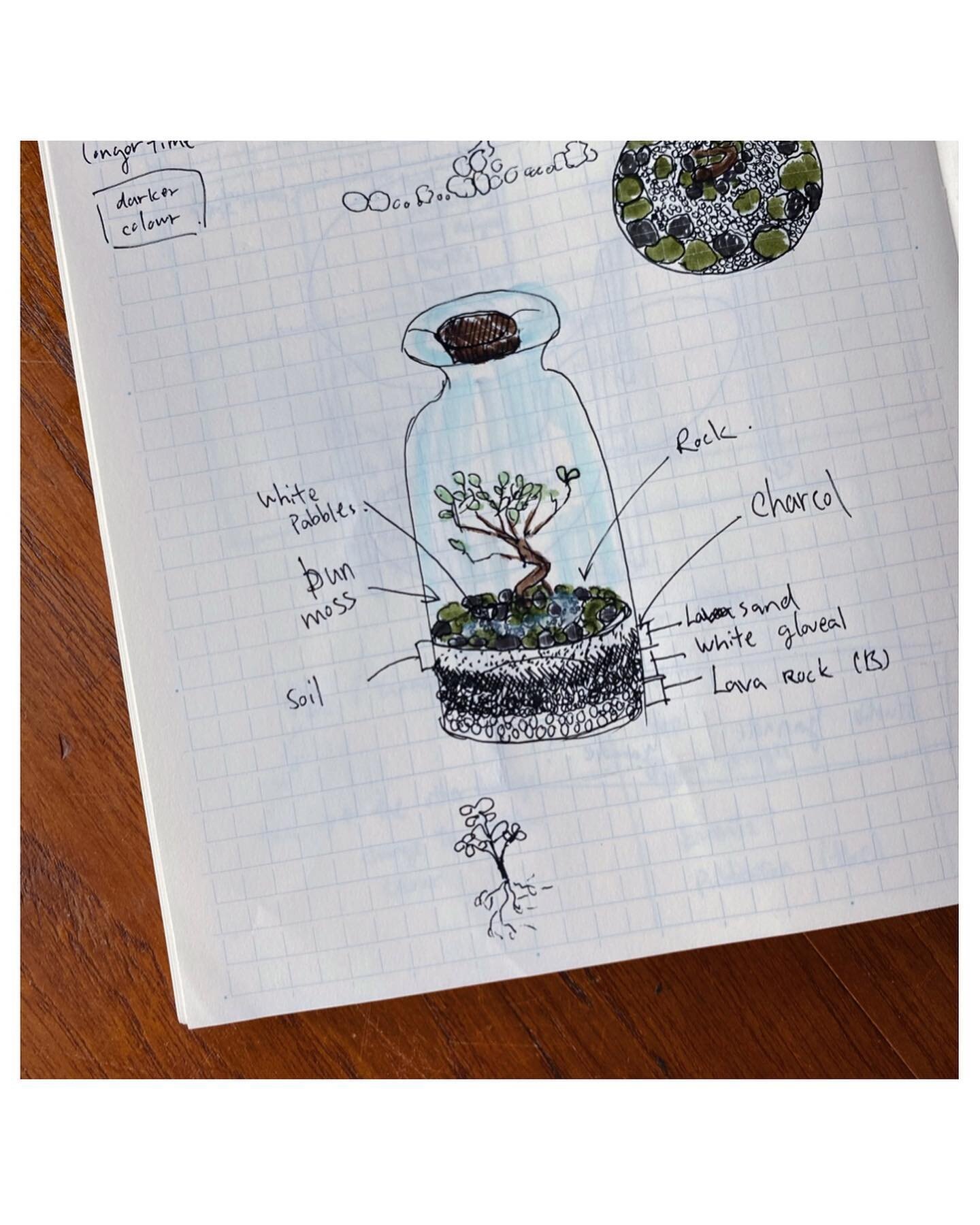 This is a zen garden inspired terrarium in side a jar. Zen garden embraces the idea of remaining the same throughout seasons. To achieve that, it uses sand and rock to represent waves and mountain. Moreover, when it comes to choices of plant, it tend