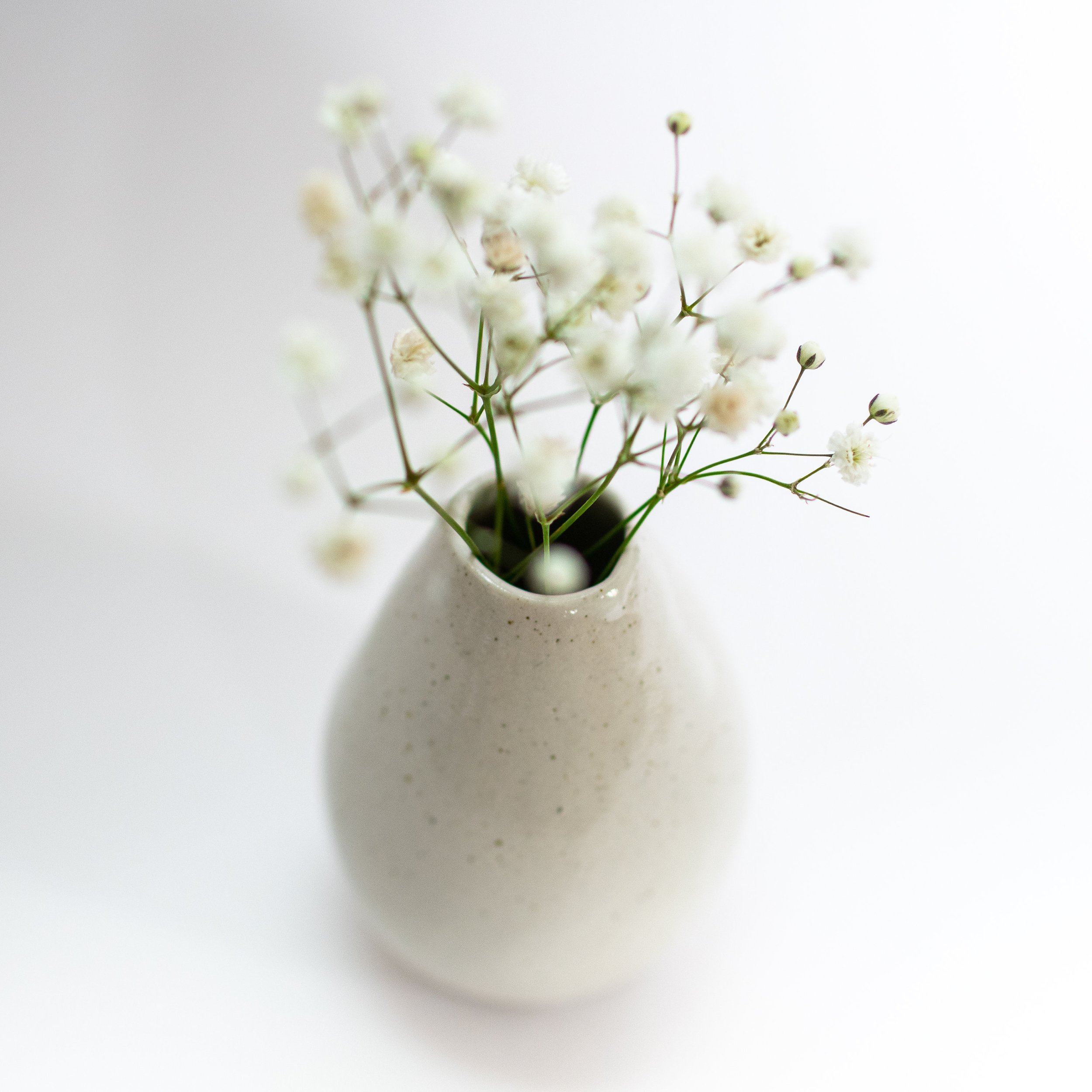 https://i.etsystatic.com/21720483/r/il/8748c4/2576497128/il_fullxfull.2576497128_oe17.jpg