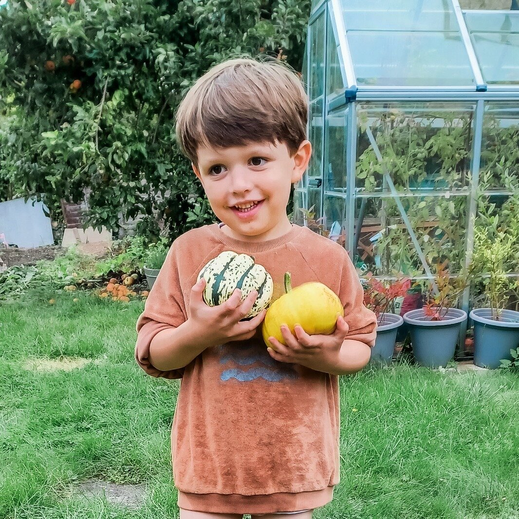 ✨P U M P K I N S✨

I think my little love is nearly as excited about pumpkin season as I am! We grew some miniature varieties in our garden - sweet dumpling and jack be little - and some larger varieties on the land by the studio. There is so much yo