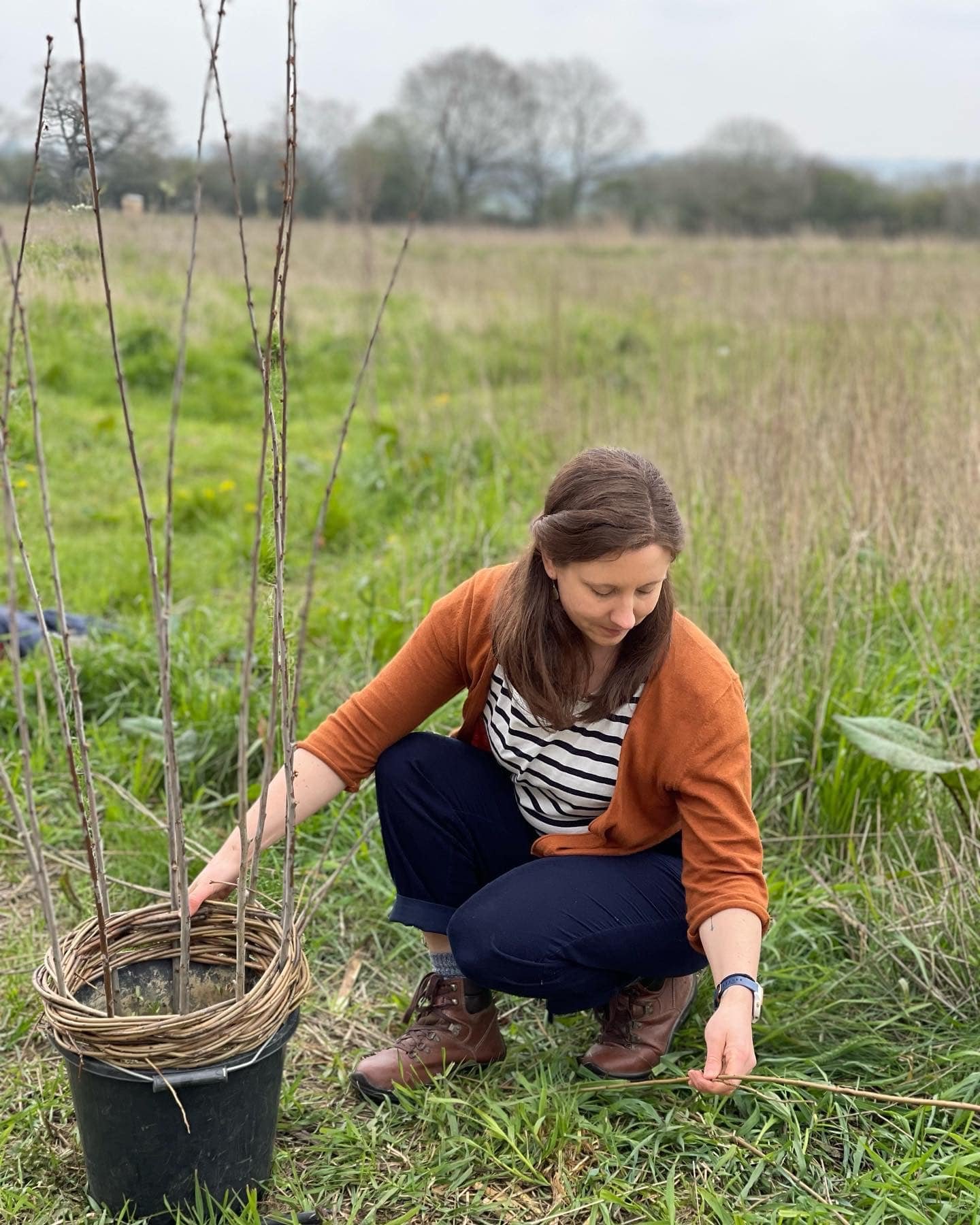 Willow Weaving.jpeg