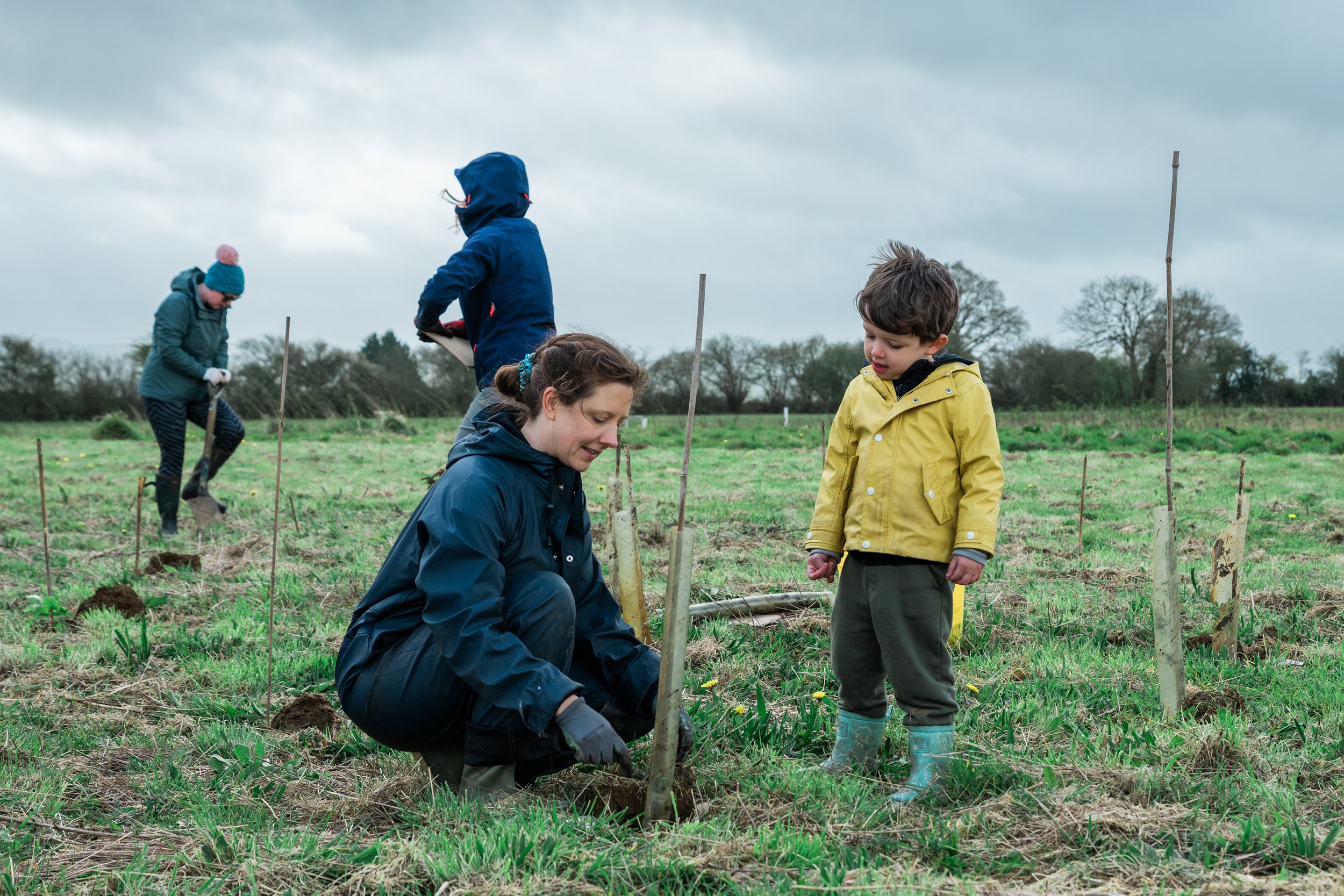 Tree Planting 3.jpg