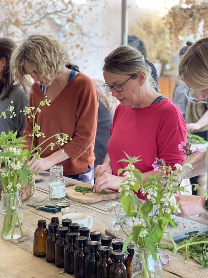 Herbalism Workshop.jpeg