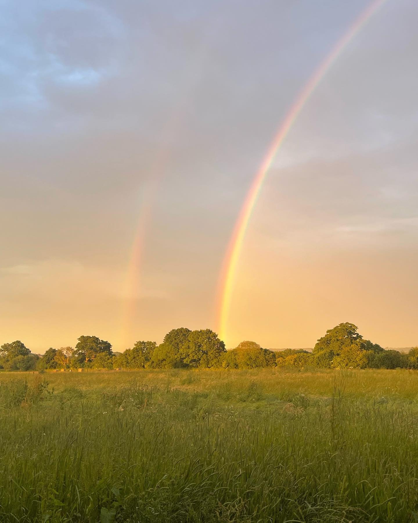 Rainbow.jpeg