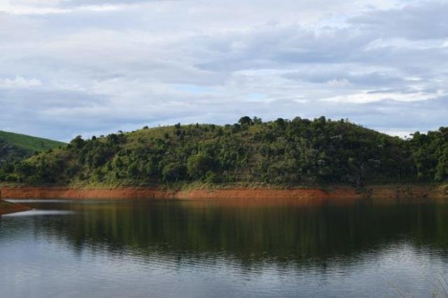 8 estratégias para que áreas em regeneração natural não sejam desmatadas na Mata Atlântica