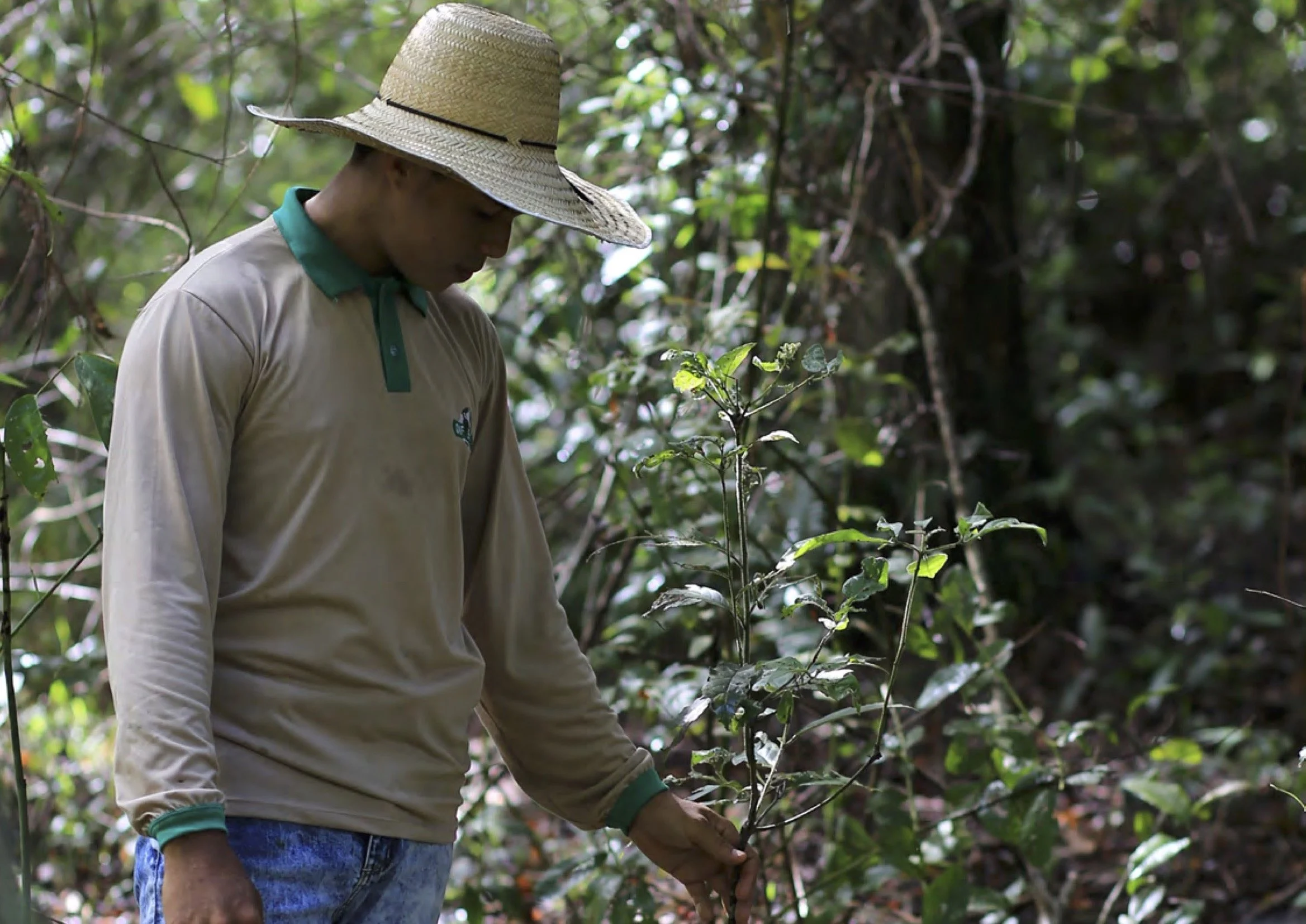 A status report on Assisted Natural Regeneration: What, why, who, where, and how?