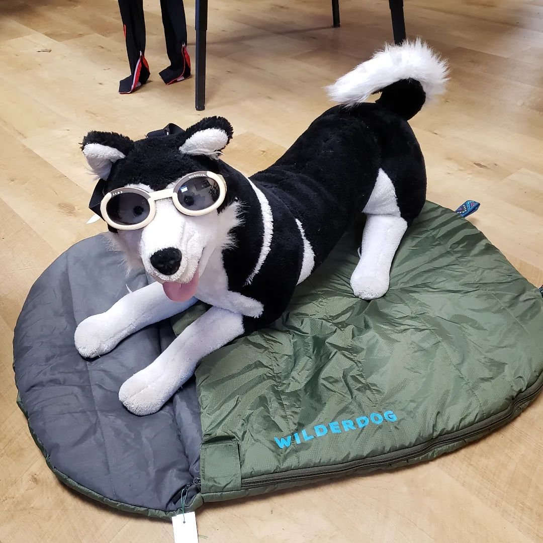 Blizzo is lookin pretty fly in those Doggles!

Doggles I LS2 Eyewear
$14

WilderDog Sleeping Bag
$30