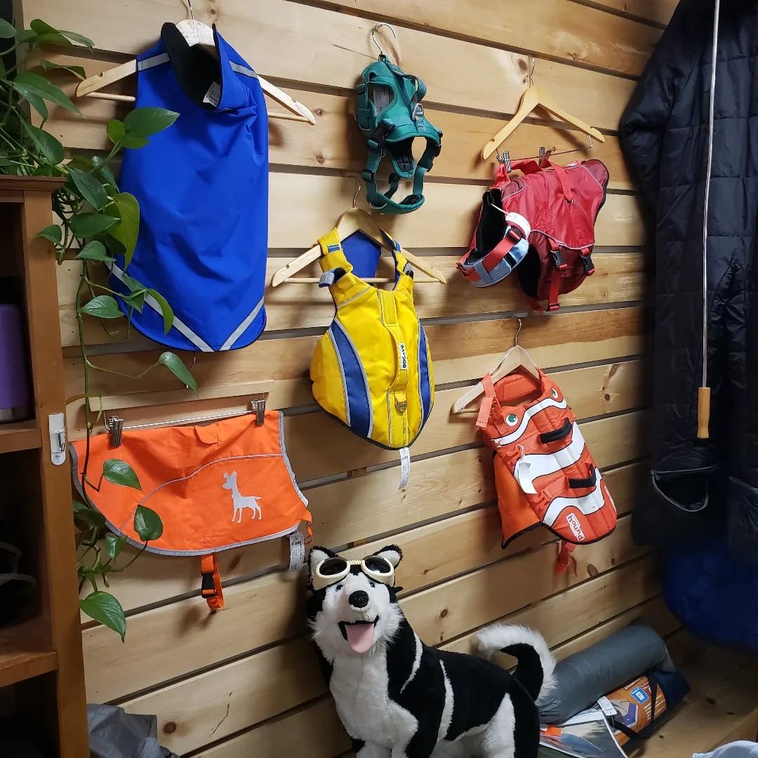 Get your pups ready for adventure!
.
.
.
.
.
#Consignment #Secondhand #Resale #WomanOwned #Maine #Sustainable #SmallBusiness #ShopLocal #BrunswickMaine