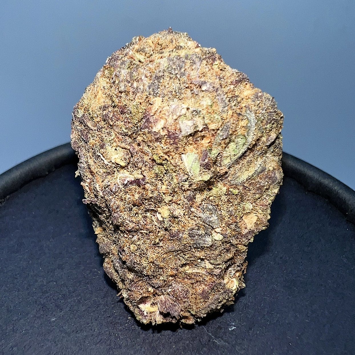 purple gushers.jpg