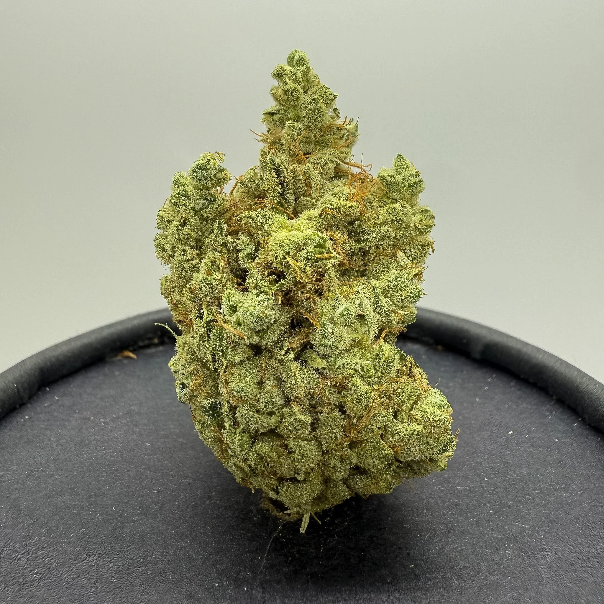 Kerosene Dream - Super Exotic - Sativa