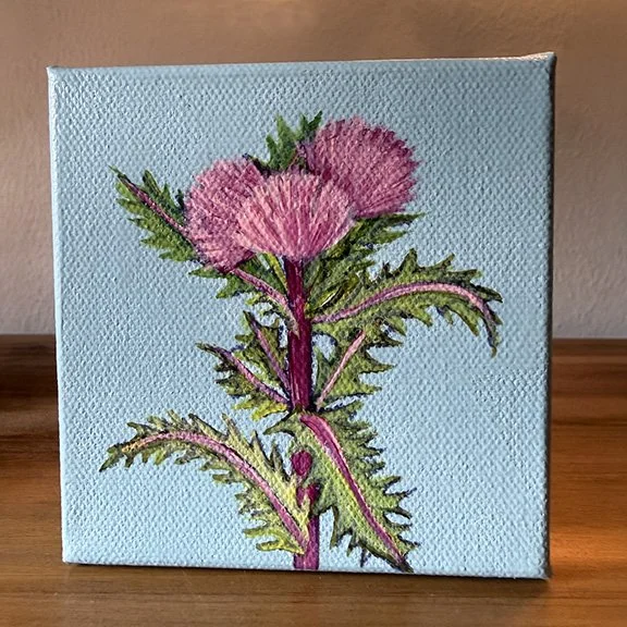 Thistle
