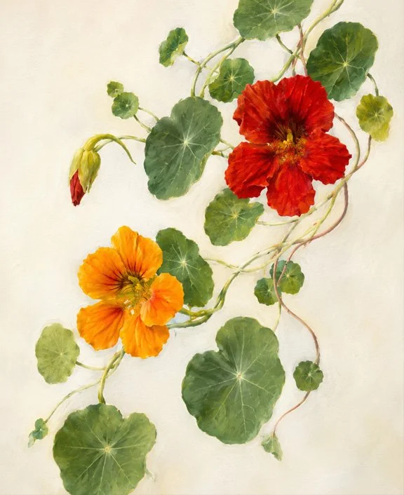 June 2026 Nasturtium_WEB.jpg