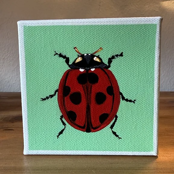 Ladybug