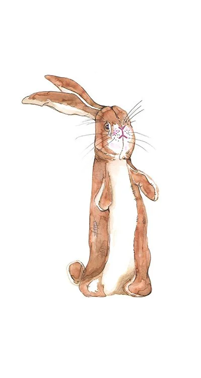 The Velveteen Rabbit