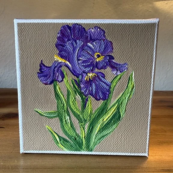 German Bearded Iris
