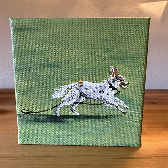 Ellie-English Setter