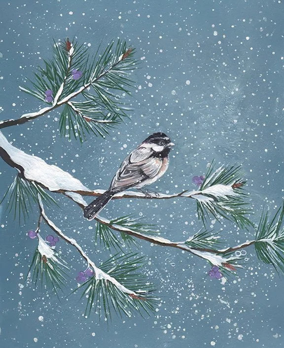 JANUARY - Delicate Trust