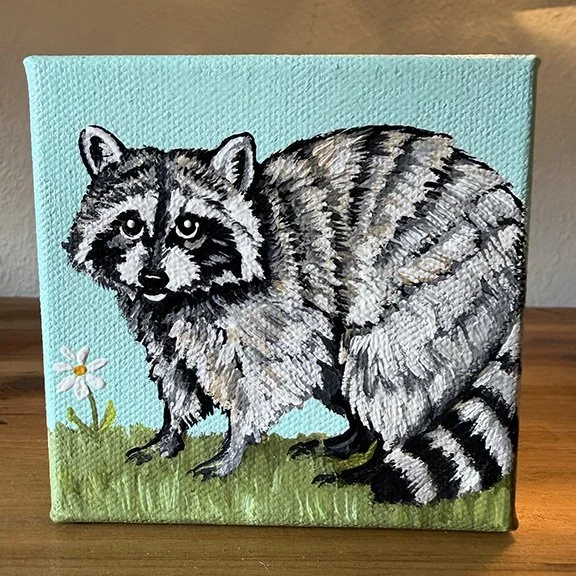 Daisy the Raccoon