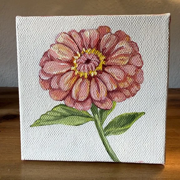 Zinnia