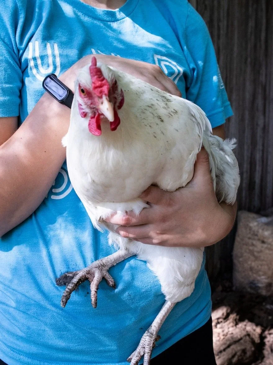 Farm School KC