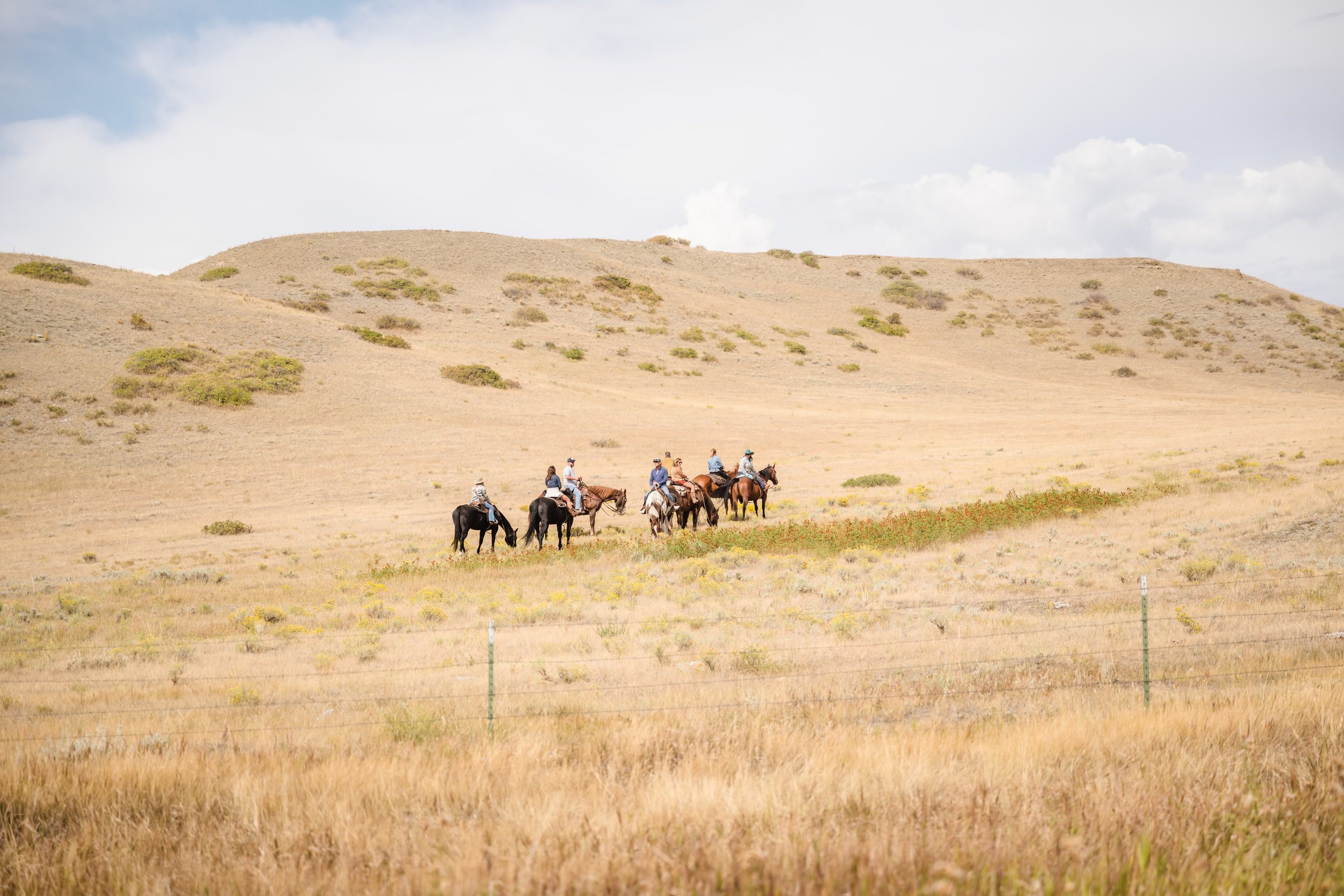 Group of six horseback riders crossing wide open golden grassland with rolling sagebrush-covered hills under a partly cloudy blue sky during the 2025 Bourbon and Bonfire horseback riding experience in Montana.