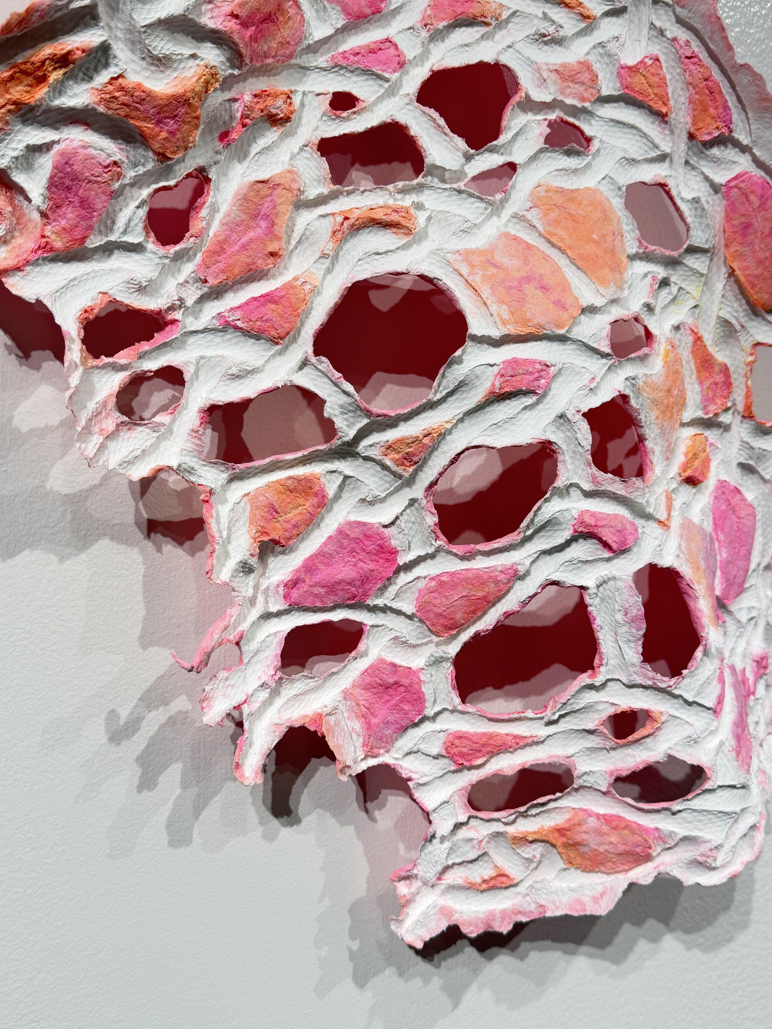 Revel II (detail)
2025
Handmade pigmented cotton paper