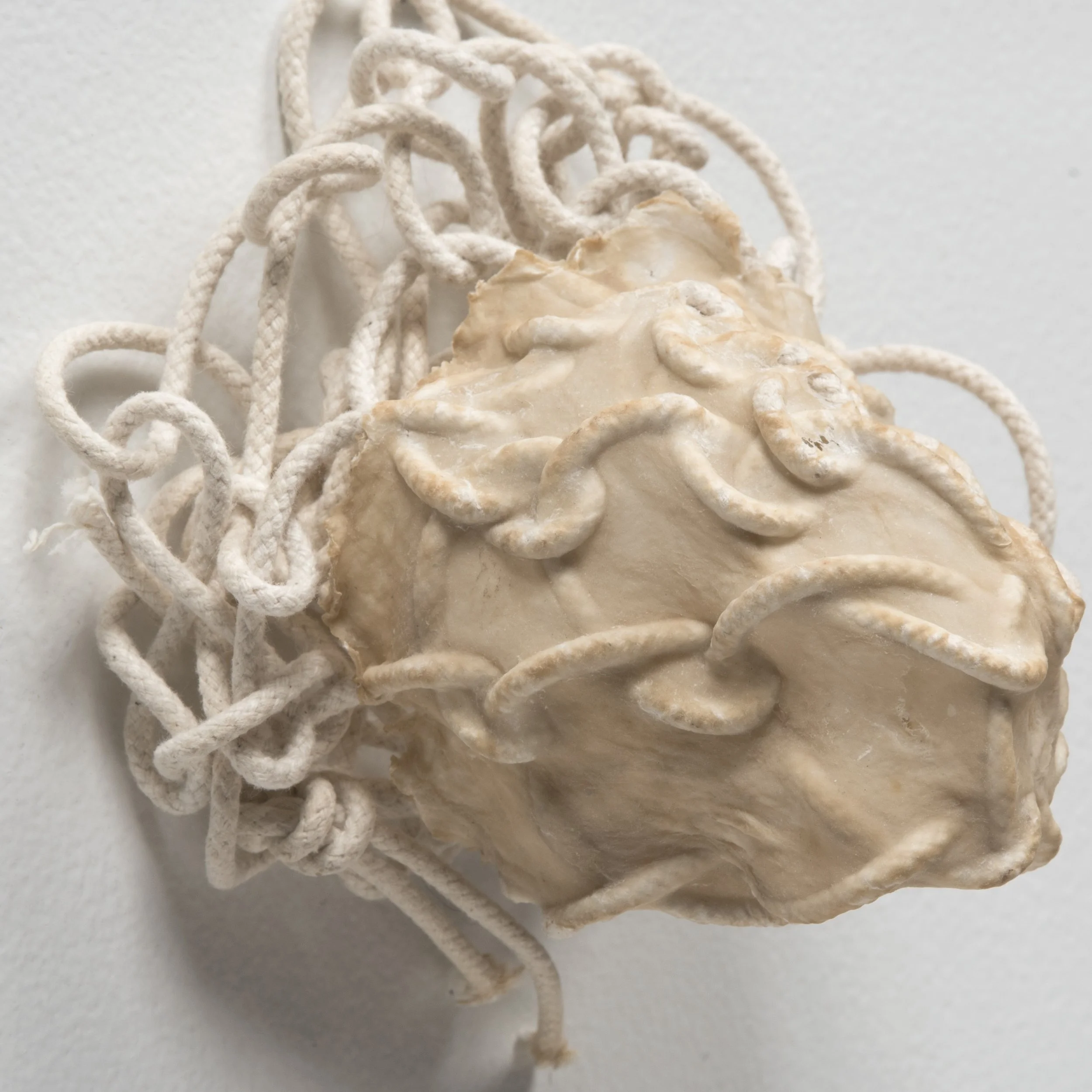 Scroll Card (7) 2017.jpeg