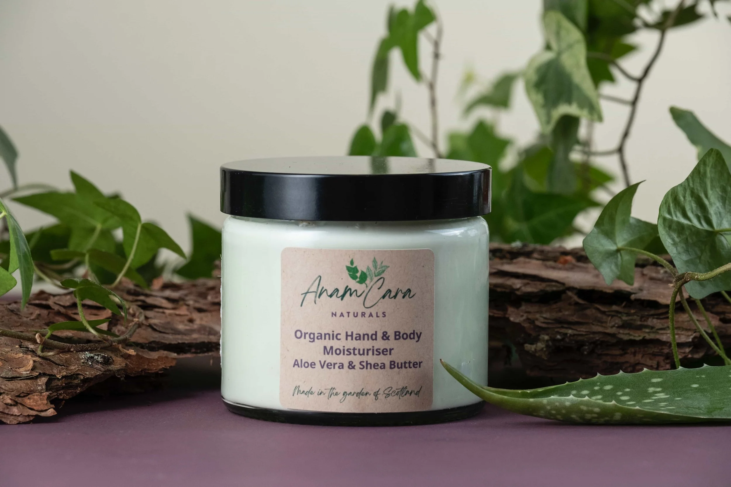 deodorant aloe Aloe Vera Stick Deodorant main image 1