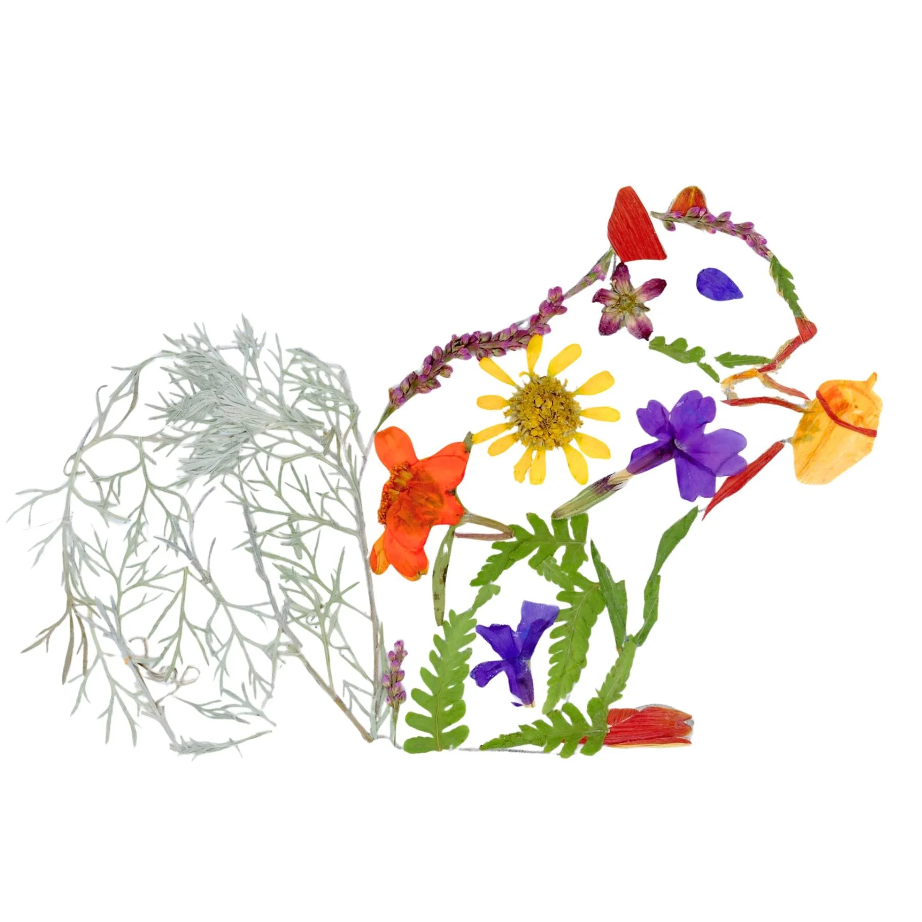 Squirrel made of pressed flowers holding an acorn