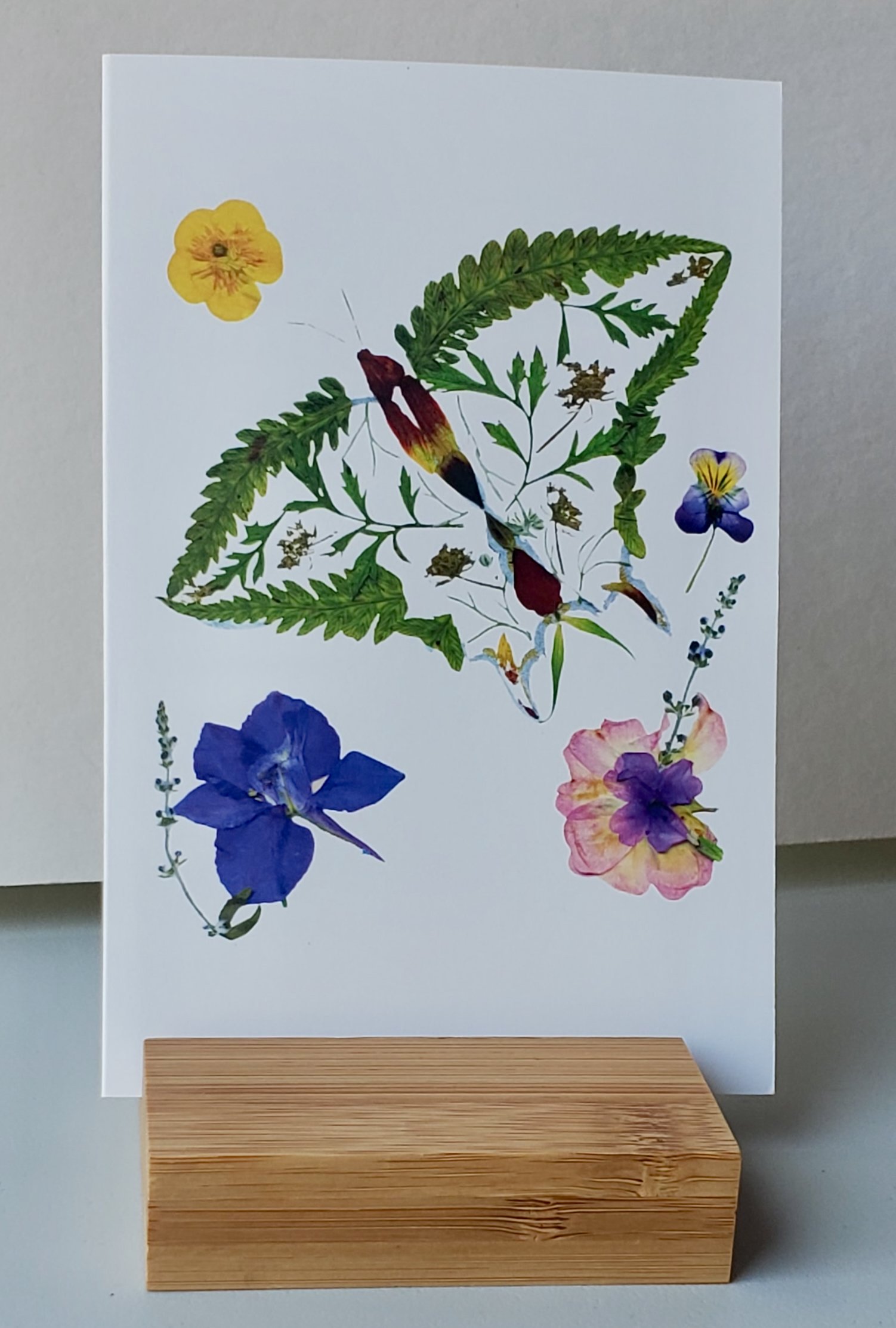 Sycamore Hill Swallowtail card.jpeg