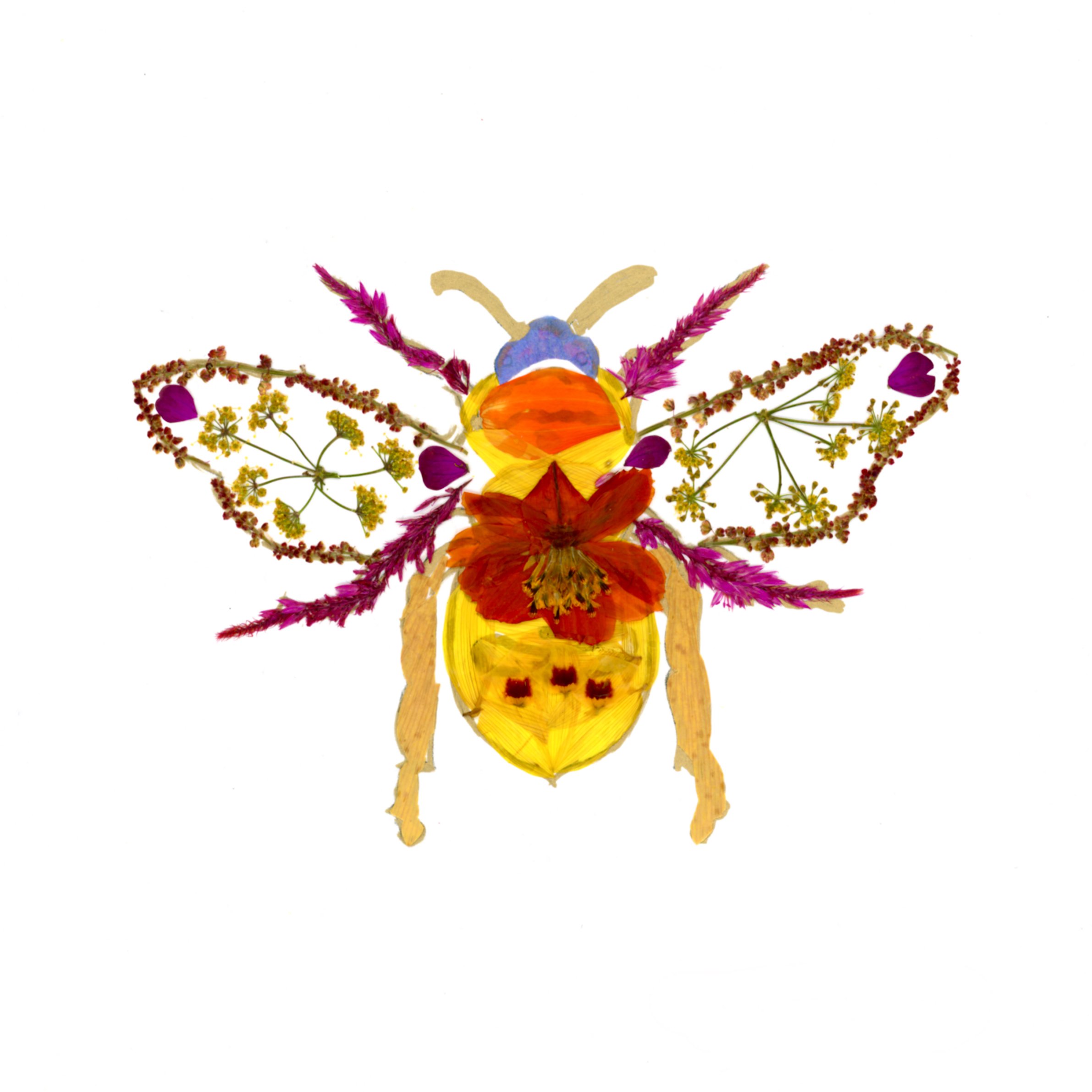Bee rev centered copy.jpeg
