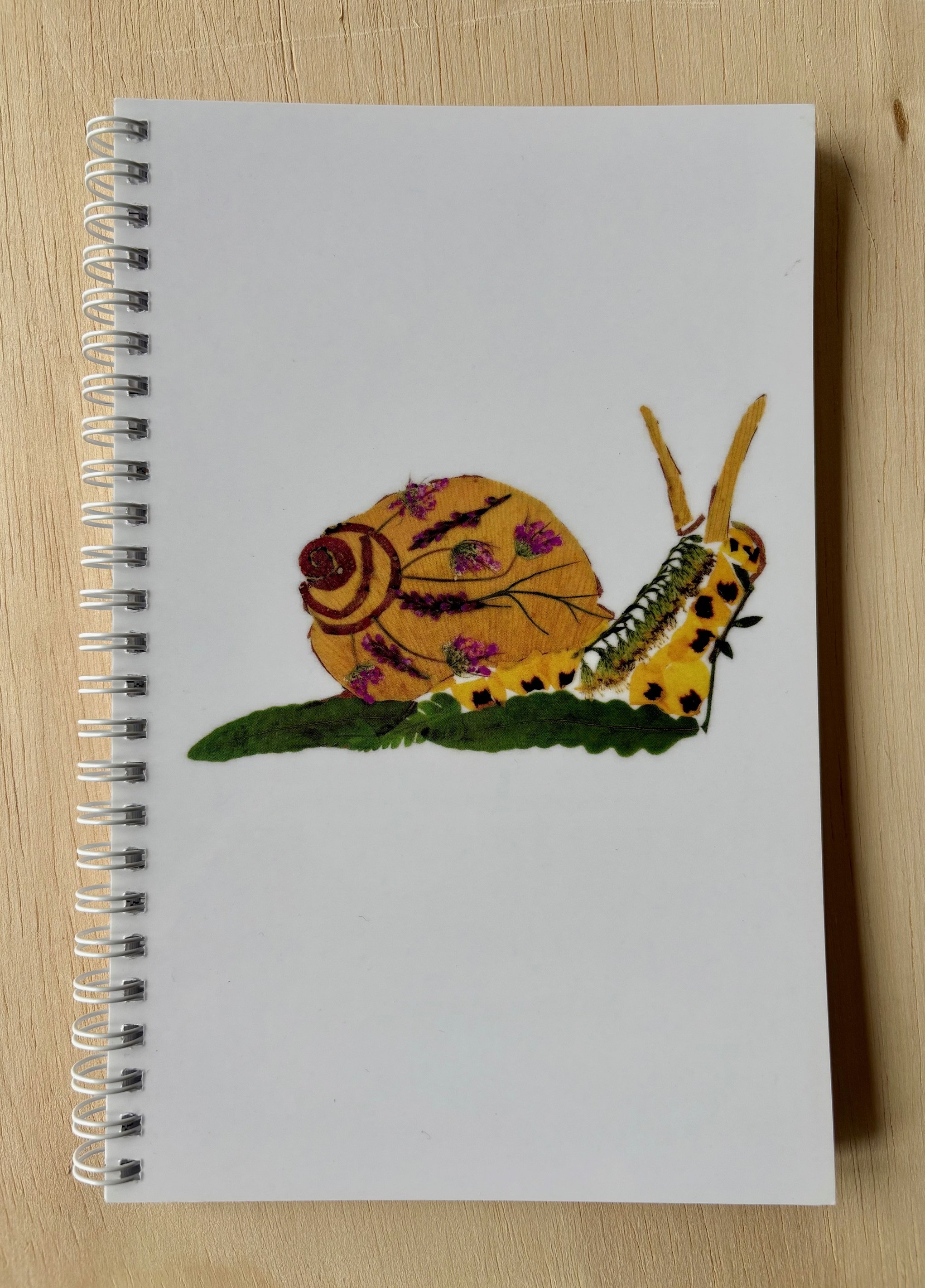Snail notebook.jpg