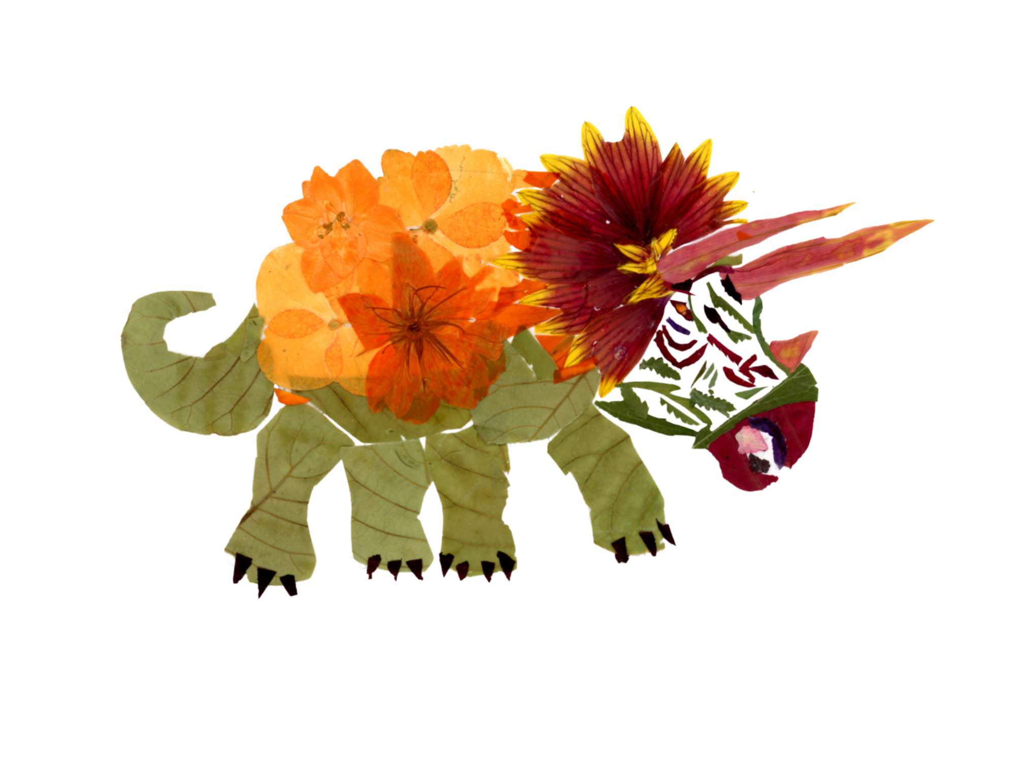 Triceratops