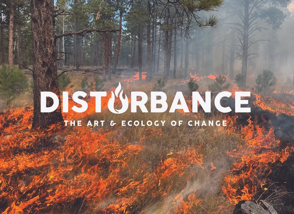 DISTURBANCE: The Art and Ecology of Change