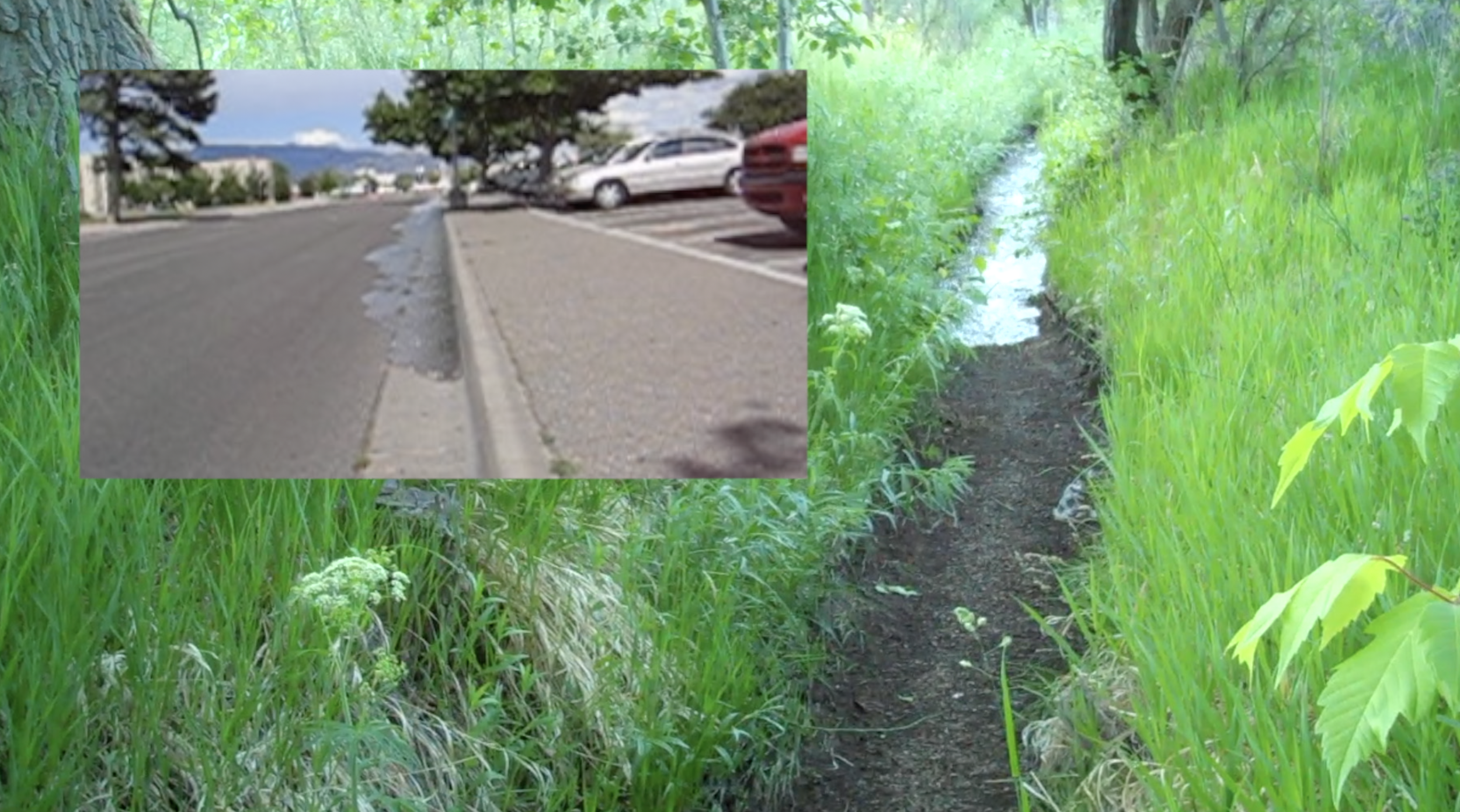 Acequia Apoc Image 2.png
