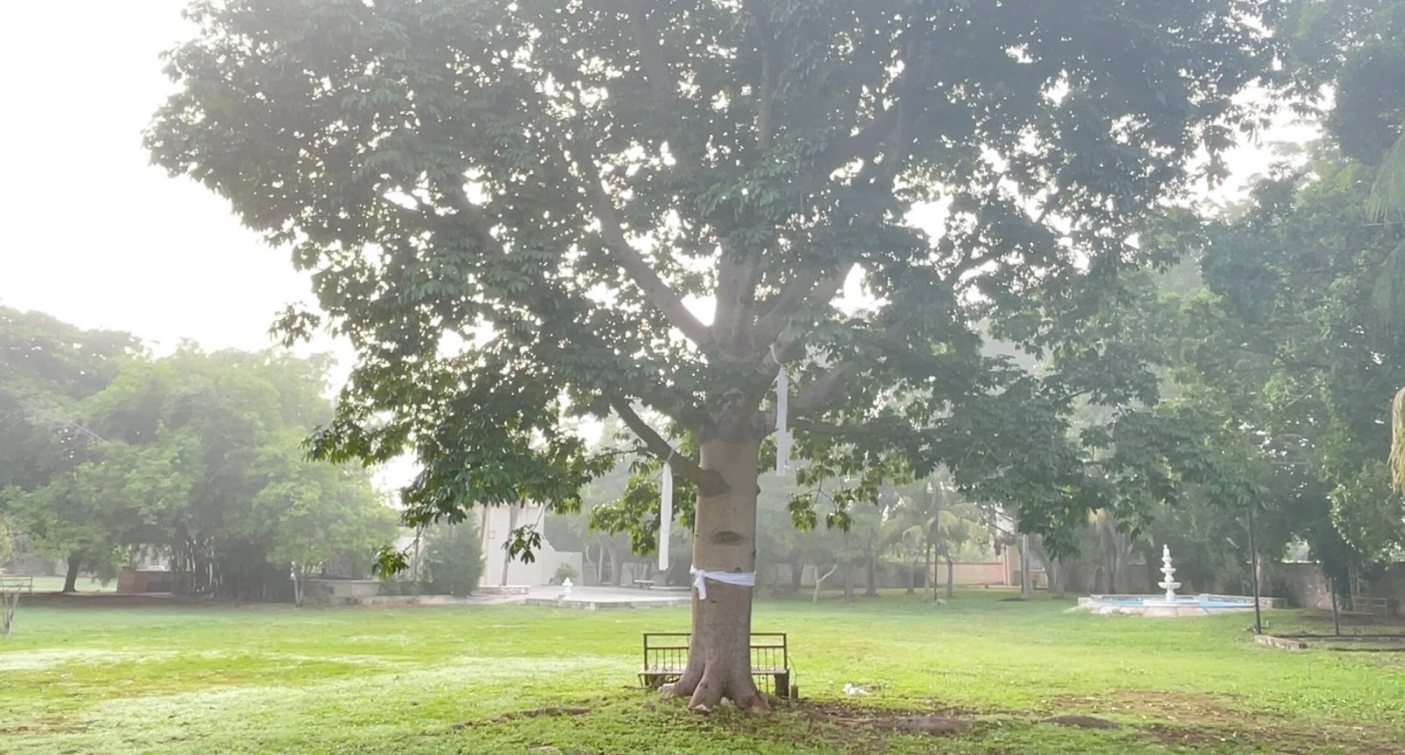 Screenshot 2026-01-27 135125.png