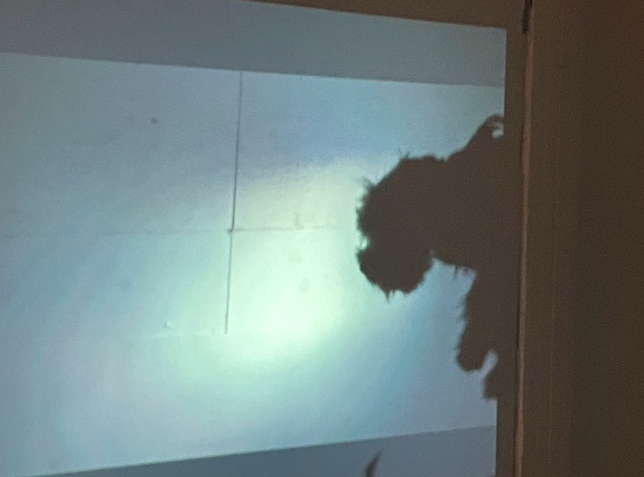 Screenshot 2026-01-27 134818.png