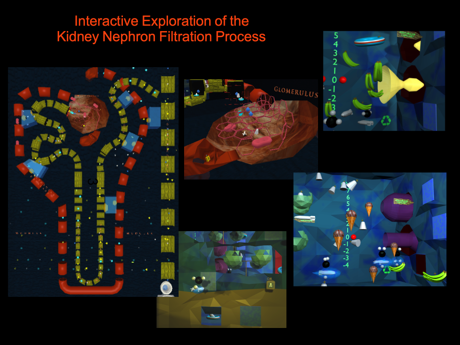 Nephron collage 2.png