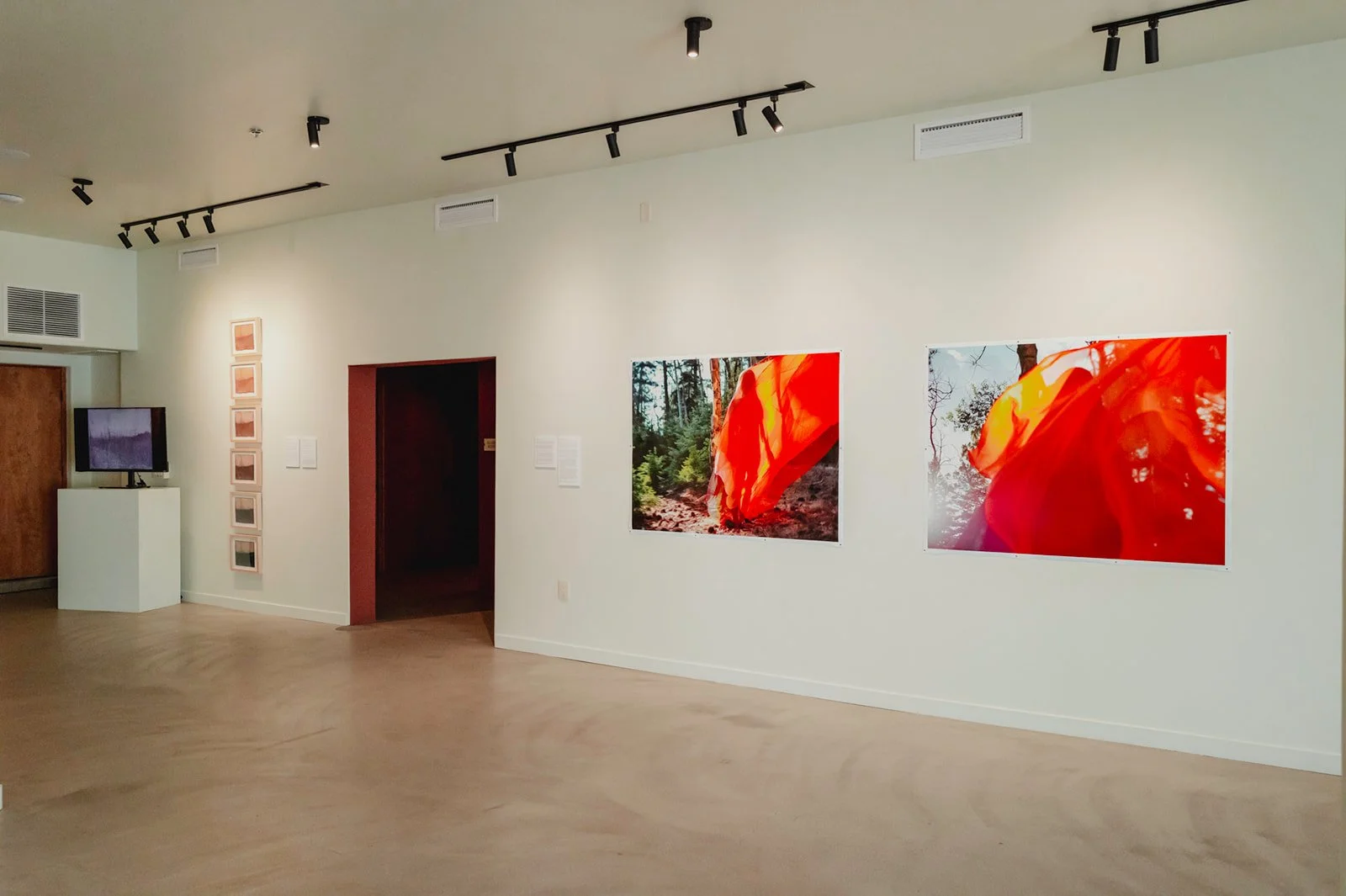 L1101050.jpg
