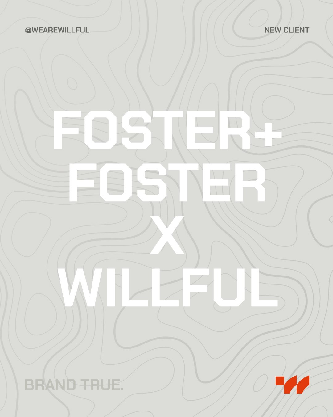 NEW PARTNERSHIP: Willful welcomes actuaries and consultants Foster+Foster to our growing client list. We&rsquo;ll be helping them create brand collateral for some of their clients.

#newclientalert #branddesign #branddevelopment #madebywillful #weare